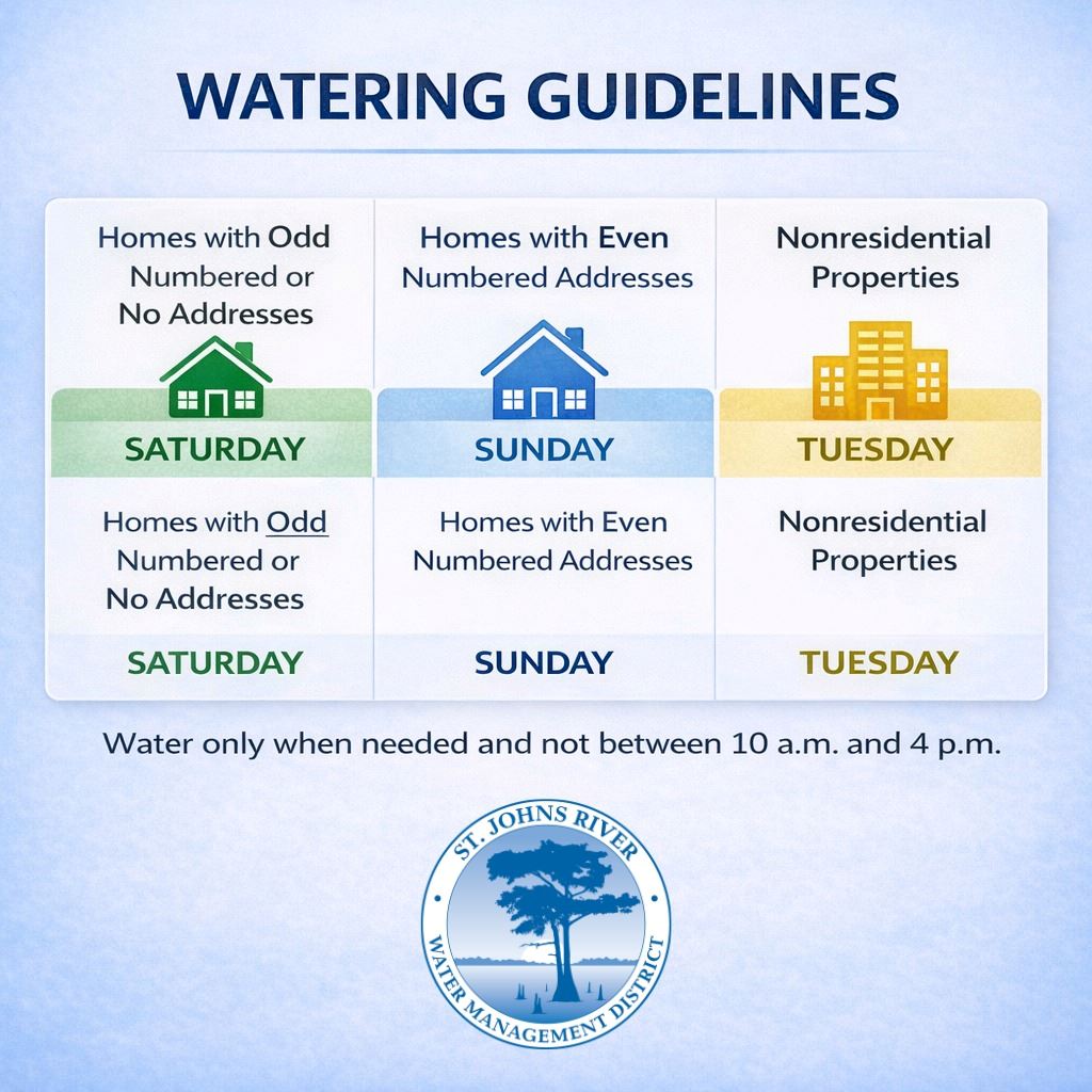 646702906_1456257706541858_5064476068817764143_n